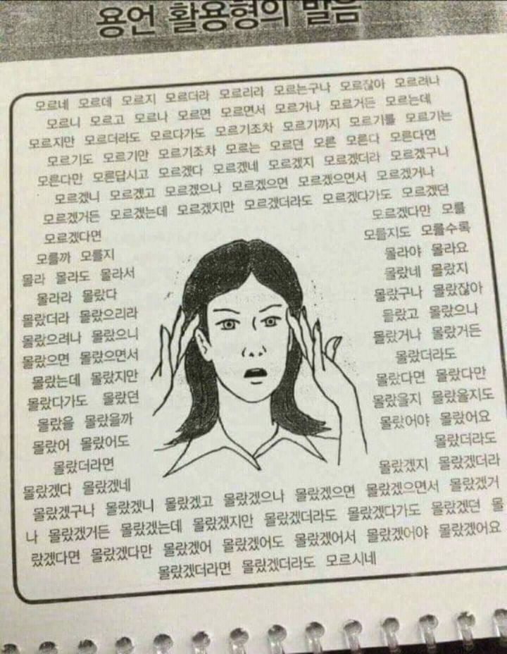 한국어 배우는 외국인들이 포기하는 구간.jpg | 인스티즈