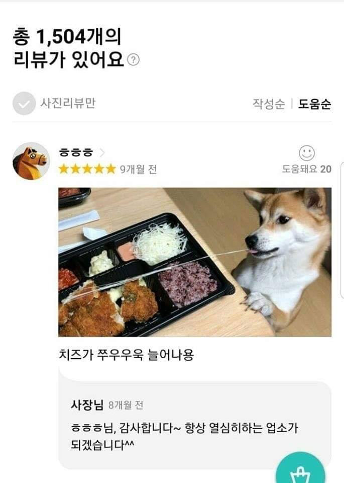 배달 치즈 리뷰 레전드.jpg | 인스티즈