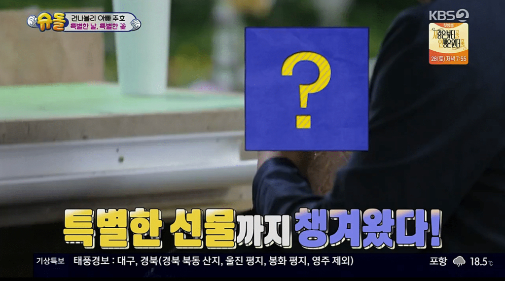 [슈돌] ㄹㅇ 개스윗한 파추호ㅠㅠㅠㅠㅠㅠㅠㅠㅠ (일가구 일주호) | 인스티즈