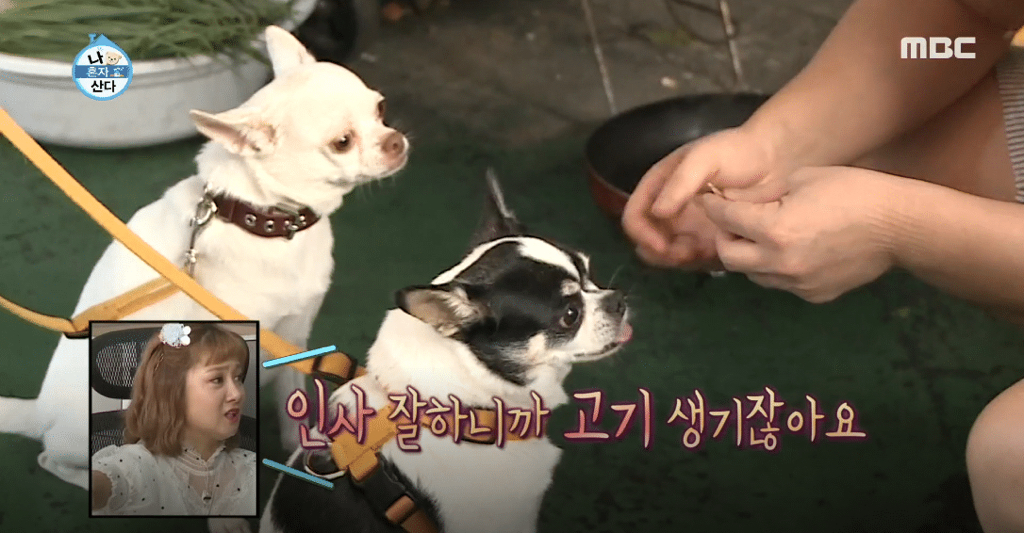 [나혼자산다] 3보 1인사 하는 노브레인 이성우.jpg | 인스티즈