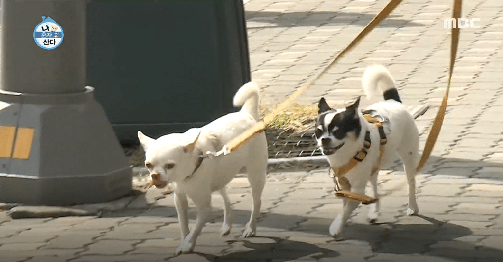 [나혼자산다] 3보 1인사 하는 노브레인 이성우.jpg | 인스티즈
