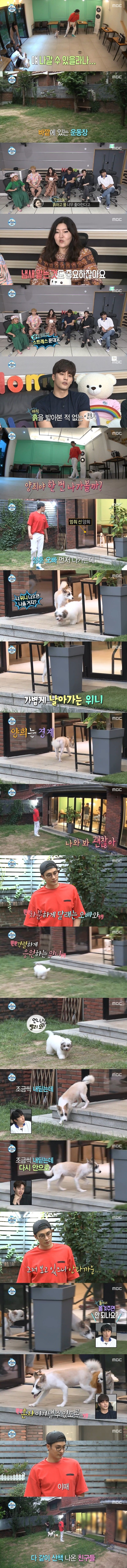 [나혼자산다] 태어나서 처음으로 잔디를 밟은 성훈 반려견 양희ㅠㅠㅠㅠㅠ | 인스티즈