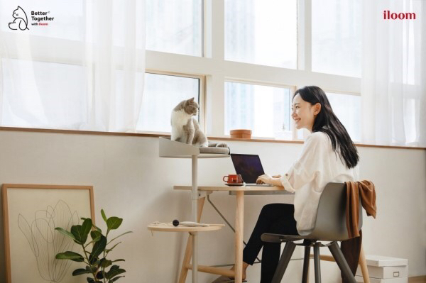 김메주와 콜라보한 일룸 고양이 반려가구 | 인스티즈