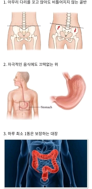 다음 중 가장 갖고 싶은 신체부위는? | 인스티즈
