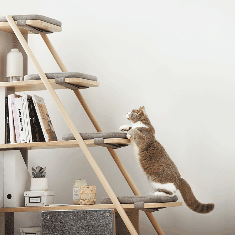 김메주와 콜라보한 일룸 고양이 반려가구 | 인스티즈