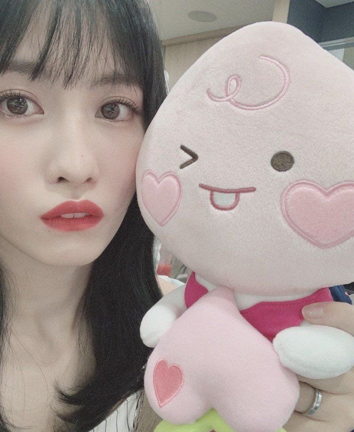 트와이스가 스케치한 카카오프렌즈 | 인스티즈
