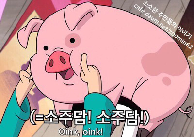 많은 한국인들이 잘못 알고있는 사실들.jpg | 인스티즈