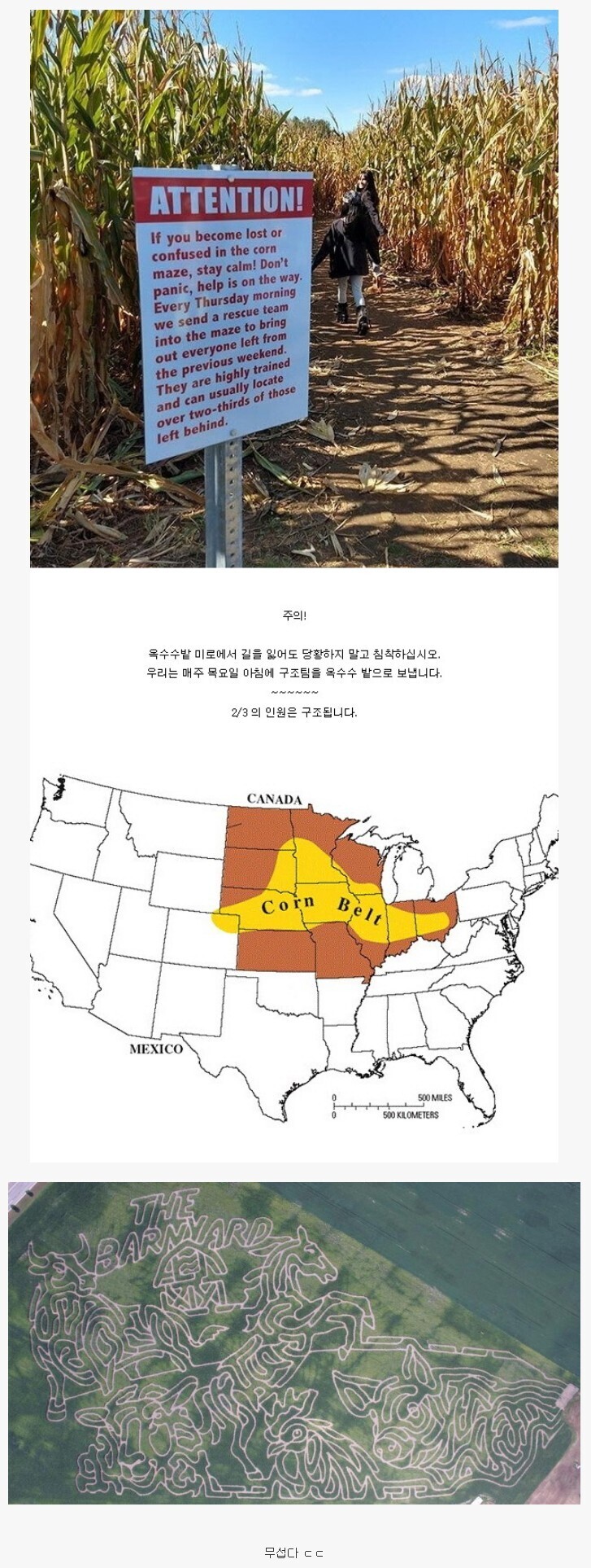 미국의 공포 스릴러 영화에 옥수수밭이 심심찮게 등장하는 이유 | 인스티즈