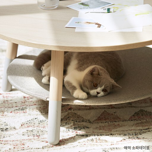 김메주와 콜라보한 일룸 고양이 반려가구 | 인스티즈