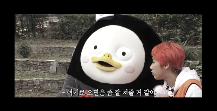 프리선언 고민하는 펭수.jpg | 인스티즈