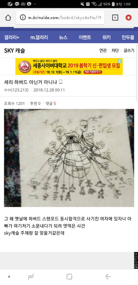 스카이캐슬 세리 캐릭터 모티브인것같은 사건(궁예) | 인스티즈