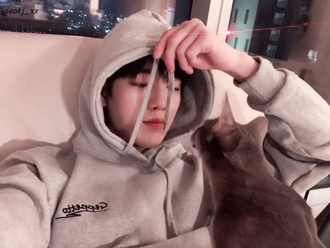 고양이랑 놀아주는 서강준 인스타영상.gif | 인스티즈