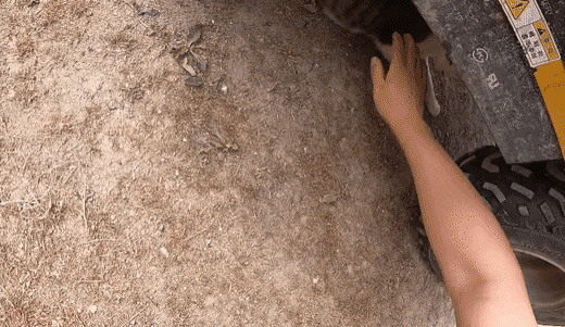 이름도 어쩜 무일까 싶은 유튜버 haha ha네 고양이 무 | 인스티즈