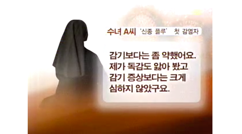 이쯤에서 다시보는 2009년 신종플루 유행 시 언론 보도 | 인스티즈