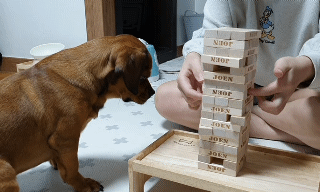 젠가하는 강아지 뭉이 | 인스티즈