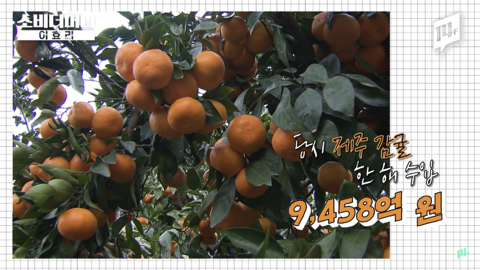 이효리가 유일무이 전무후무 원앤온리 웅앵하다고 말하는 이유 | 인스티즈