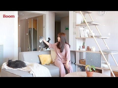 김메주와 콜라보한 일룸 고양이 반려가구 | 인스티즈