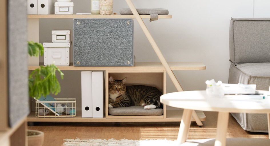 김메주와 콜라보한 일룸 고양이 반려가구 | 인스티즈