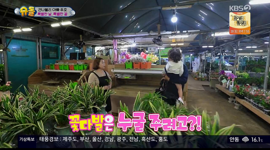 [슈돌] ㄹㅇ 개스윗한 파추호ㅠㅠㅠㅠㅠㅠㅠㅠㅠ (일가구 일주호) | 인스티즈