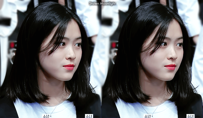 초중고 학창시절 레전드 졸사 라인업 있지 itzy 류진 성장과정 | 인스티즈