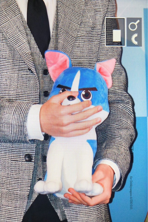 언더독 이미지