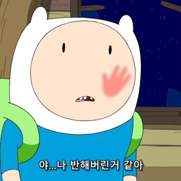 요니 이미지