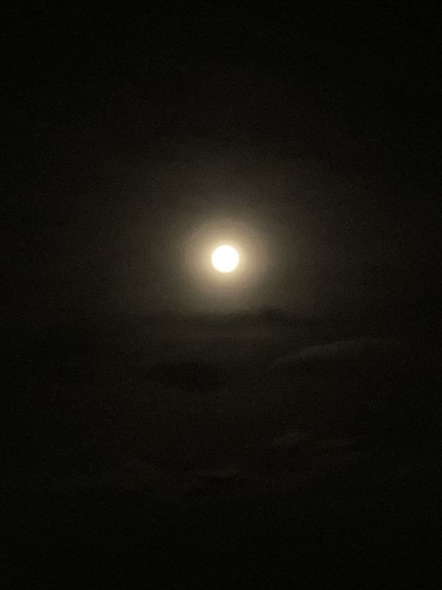 오달 이미지