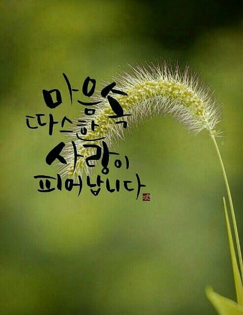감성그리다 이미지