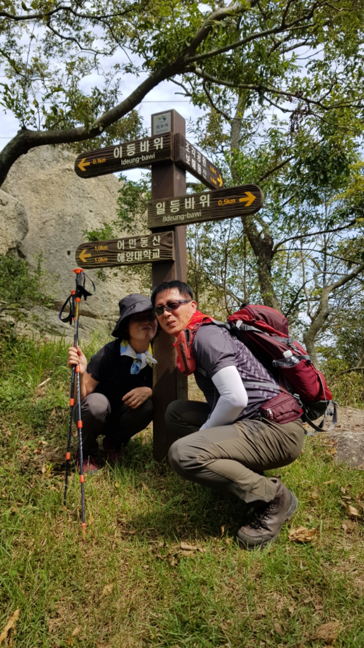 산목 이미지