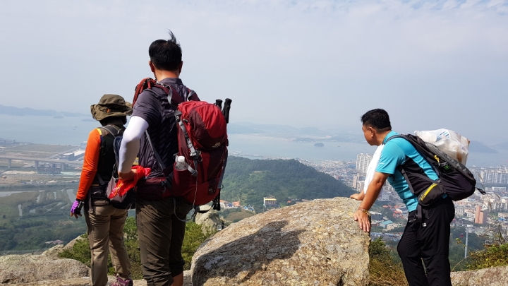 산목 이미지