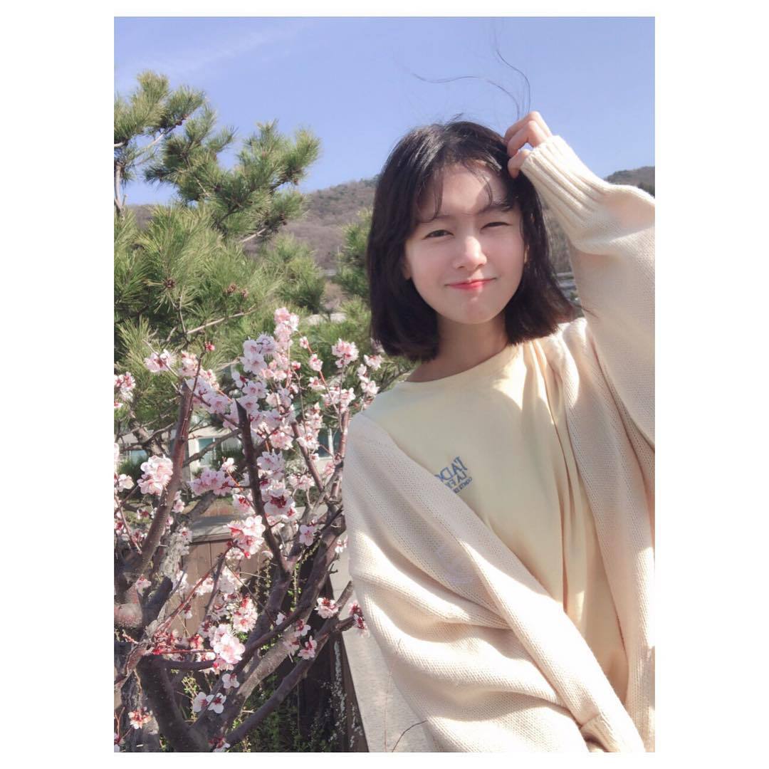 쏨 이미지