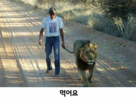 갓포소 이미지