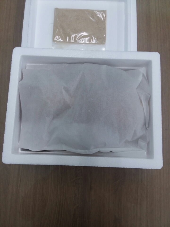 송향버섯 이미지