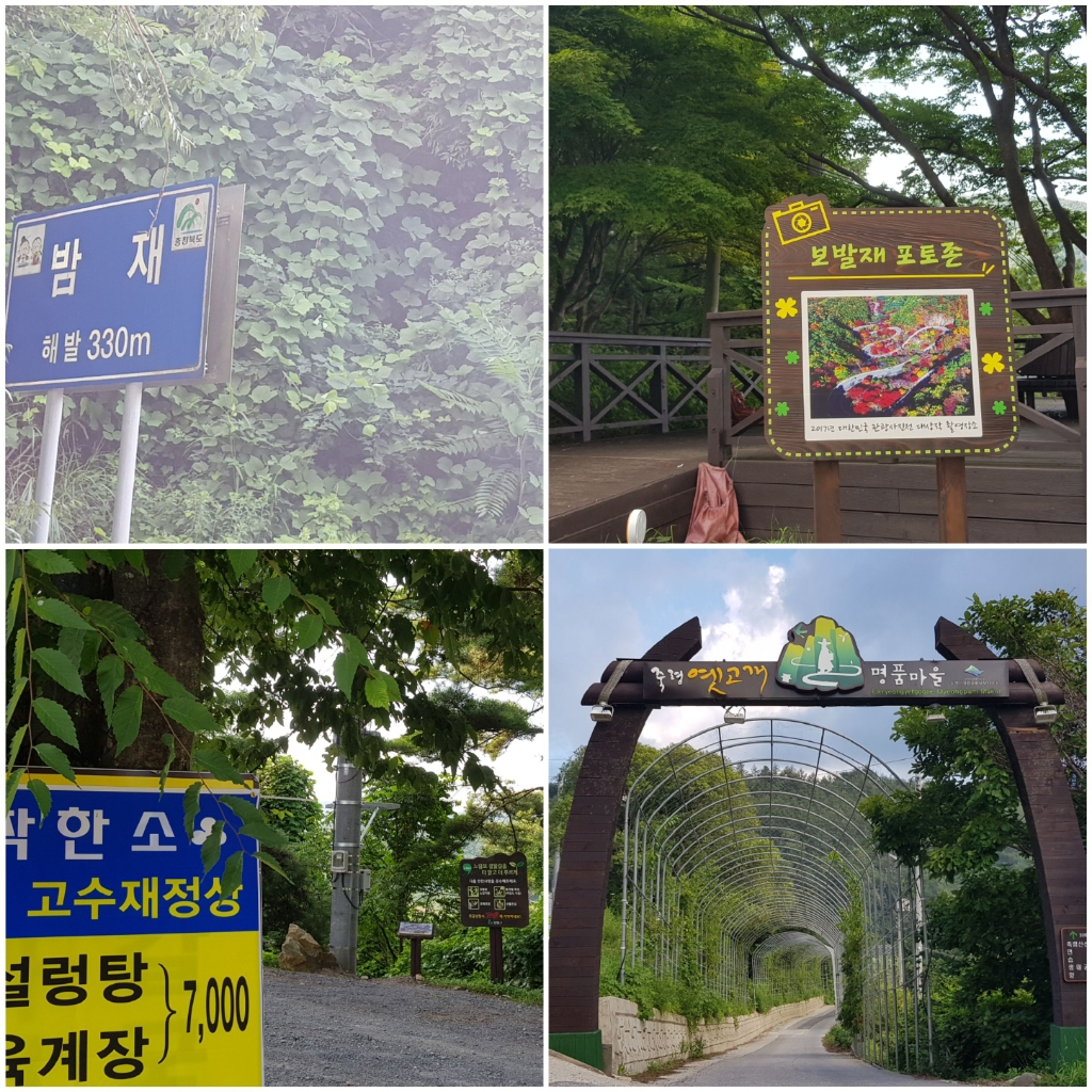 백두투어 이미지