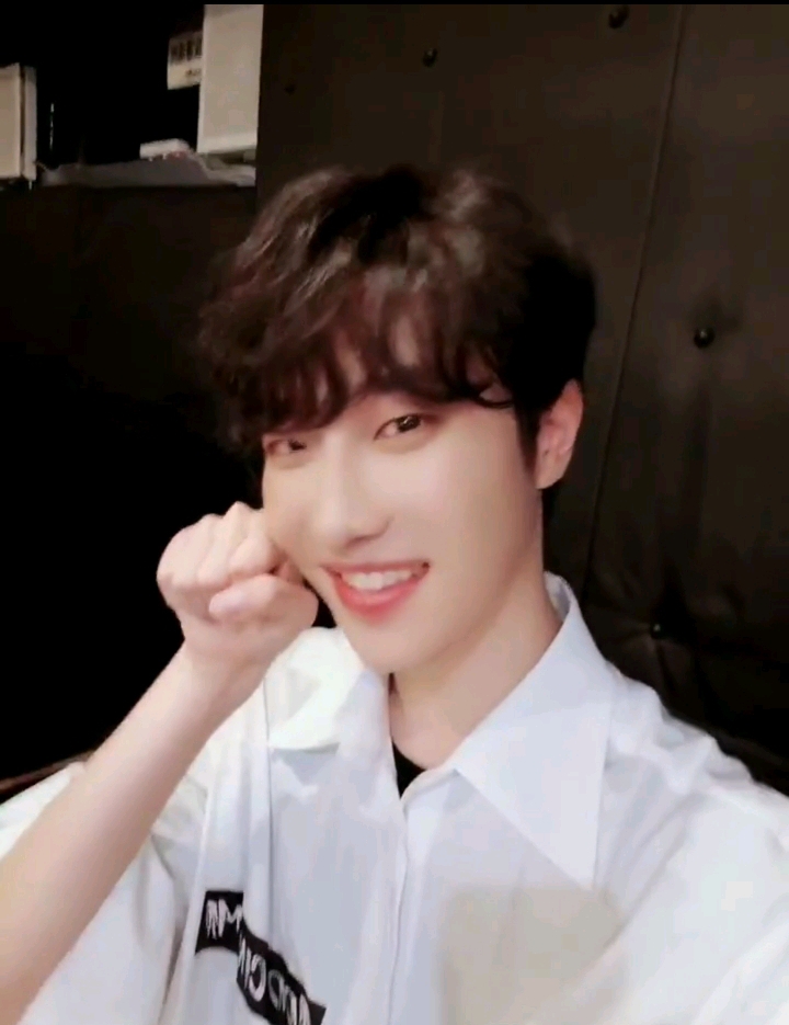 와니카레 이미지
