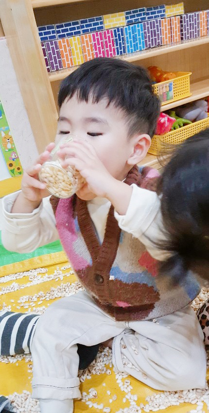 쌀비 이미지