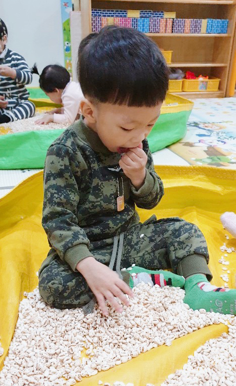 쌀비 이미지