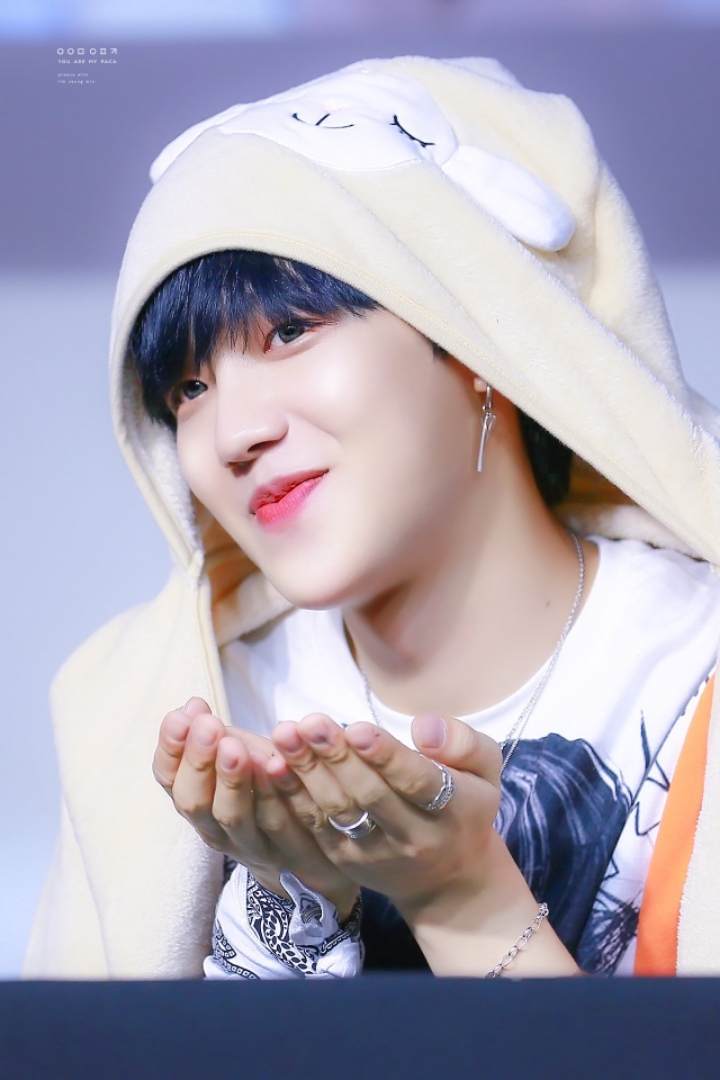 영민사 이미지