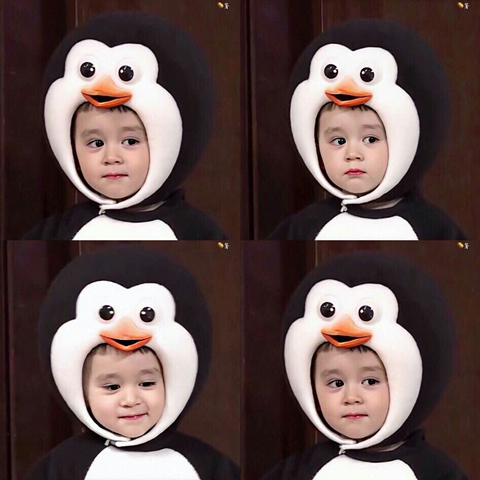 이삐 이미지