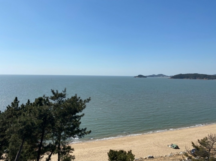 품안에 이미지