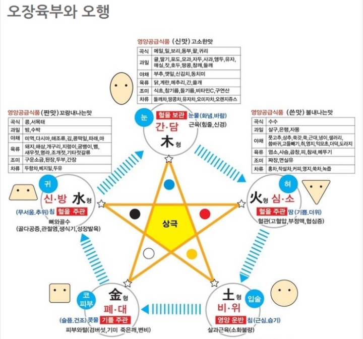 오장과 육부와의 관계 - 생활/건강/상식 - 마음드리봉사단 오장과 육부와의 관계