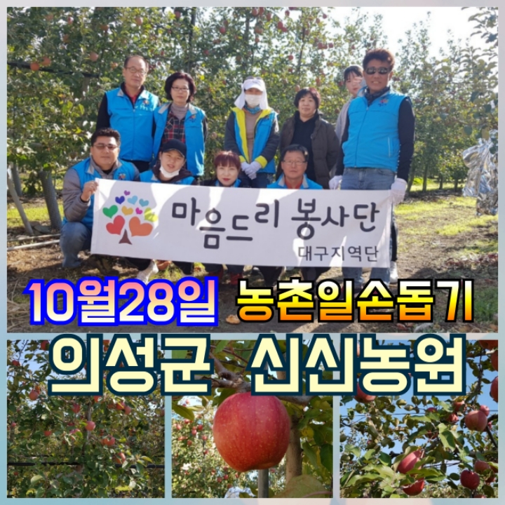마음드리봉사단 {농촌일손돕기} 후기  - 자유게시판 - 마음드리봉사단 마음드리봉사단 {농촌일손돕기} 후기 