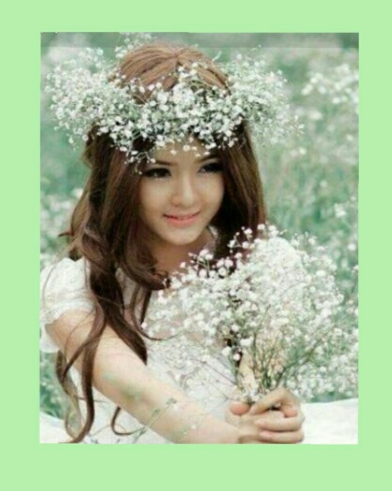 세잎크로바 이미지