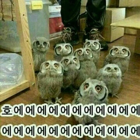 족발에진심 이미지