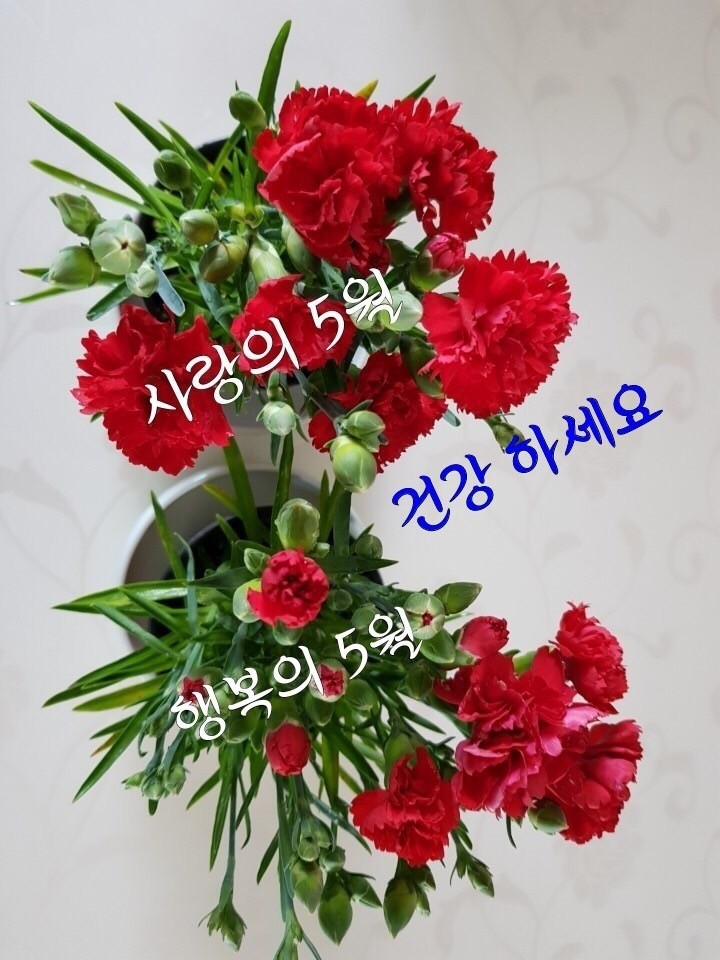 초심 이미지