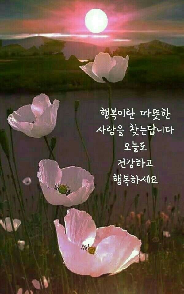 명원 이미지