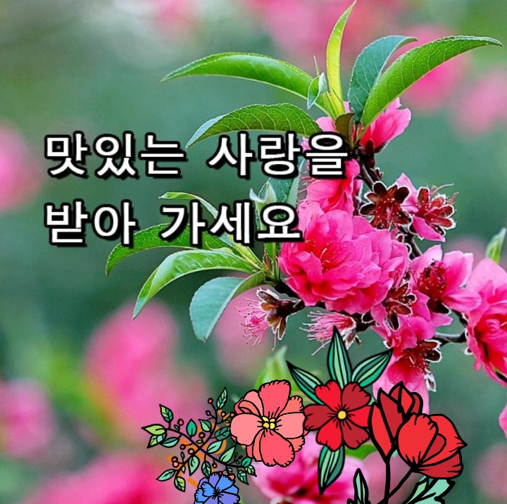 초심 이미지