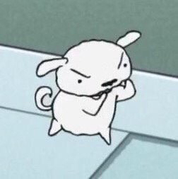 진짜루 이미지