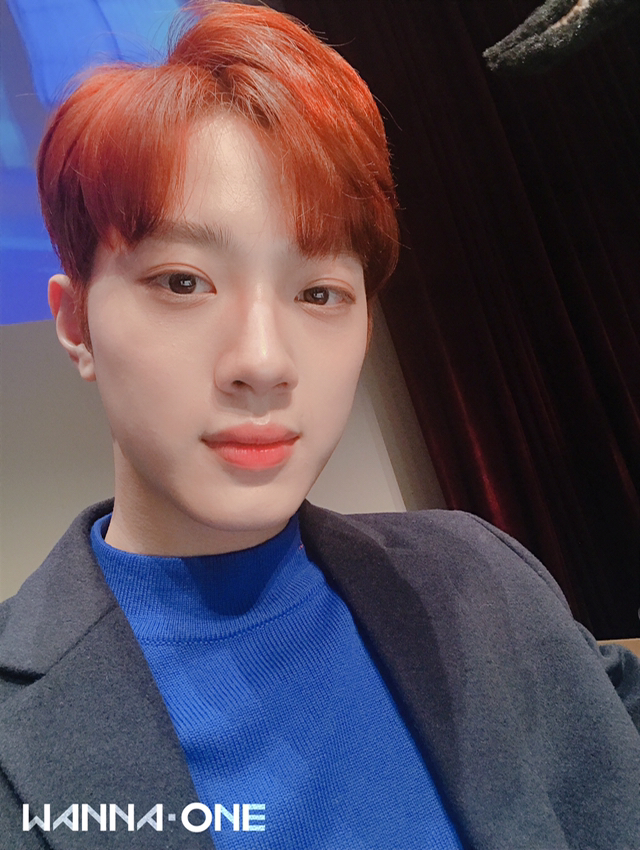 얼웨이즈올웨이즈 이미지