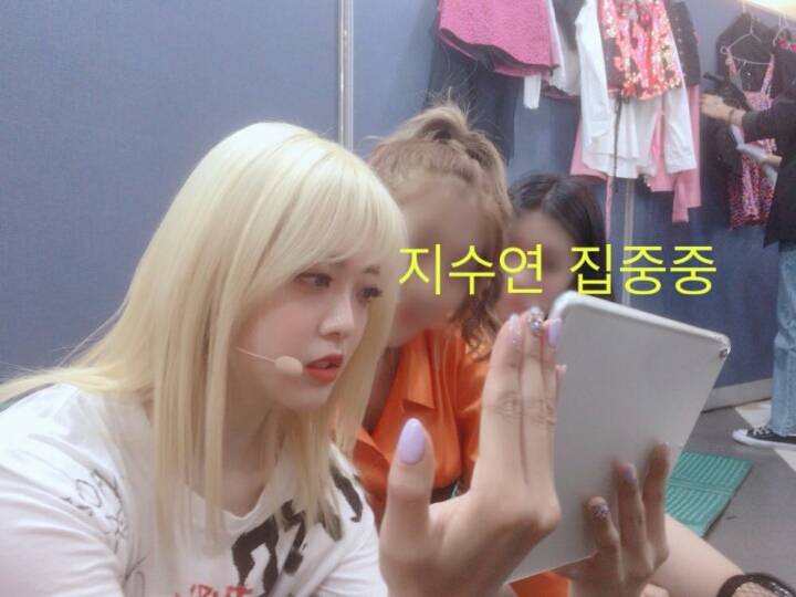 수연 이미지